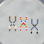 3ds_crossover_capcom