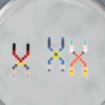 3ds_crossover_namco_bandai