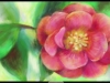 90056_ArtAcademySketchpad_5-flower-gamepad