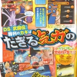 dbz_ds-3