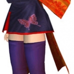 dead_or_alive_dimensions_r-15