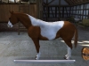 CTR_P_BMHP_ILoveMyHorse_Screen1a_R_ALL