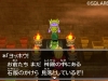 dq_vii_3ds-26