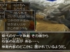 dq_vii_3ds-27