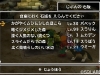 dq_vii_3ds-32