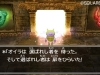 dq_vii_3ds-8