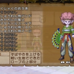 dragon_quest_x_w-13