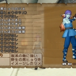 dragon_quest_x_w-8