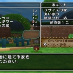 dq_x_housing_thief-16