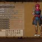 dq_x_housing_thief-7