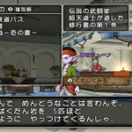 dragon_quest_x_7