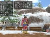 dragon_quest_x-8