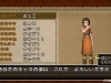 dragon_quest_x-5
