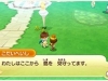 fantasy_life_link_s-10