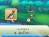 fantasy_life-13