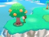 fantasy_life-6