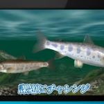 fish_eyes_3d-3