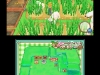 harvest_moon_new_beginning-13