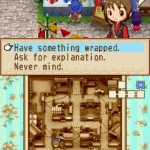 harvest_moon-10