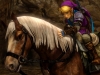 hyrule-warriors-costume-1