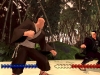 karateka-6