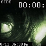 killer_freaks_snapshot_art-1