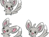 Minccino_1