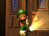 3ds_lmansiondm_2_scrn02_e3