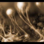 metroid_prime_possible_phase_art