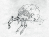 metroid_prime_mutated_metroid-1