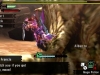 MH4U_TGS14_06