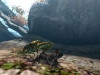 monster_hunter_4-7