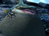 monster_hunter_4-4