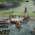 monster_hunter_tri_g_s-19