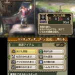 monster_hunter_tri_g_s-20