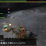 monster_hunter_tri_g_r-11