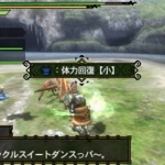 monster_hunter_tri_g_r-2