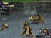 monster-hunter-x-33