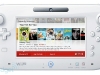 netflix-wii-u-2