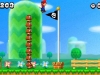 nsmb2-46