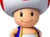 new_super_mario_bros_2_art-11