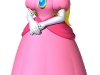 new_super_mario_bros_2_art-8
