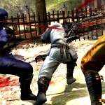 ninja_gaiden_3_multi-13