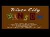 WiiU_VC_RiverCityRansom_01