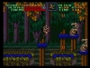 WiiU_SuperCastlevaniaIV_06