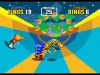 N3DS_3DSonicTheHedgehog2_02