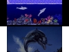 N3DS_3DEccotheDolphin_02