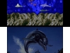 N3DS_3DEccotheDolphin_03