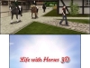 N3DS_LifewithHorses3D_02
