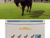 3ds_ridingstables_05